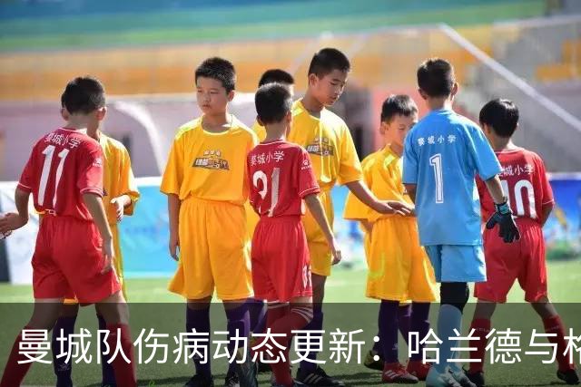 曼城队伤病动态更新：哈兰德与格瓦迪奥尔有望复出